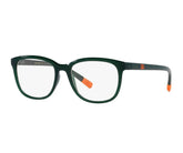 Dolce & Gabbana (Kids Size)