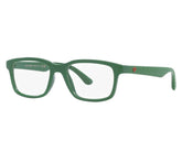 Dolce & Gabbana (Kids Size)