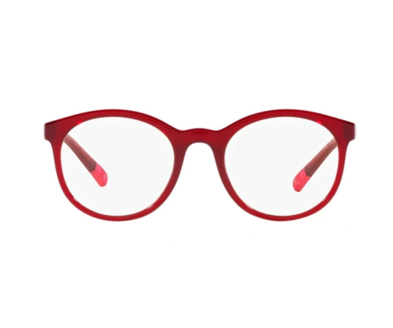 Dolce & Gabbana (Kids Size)