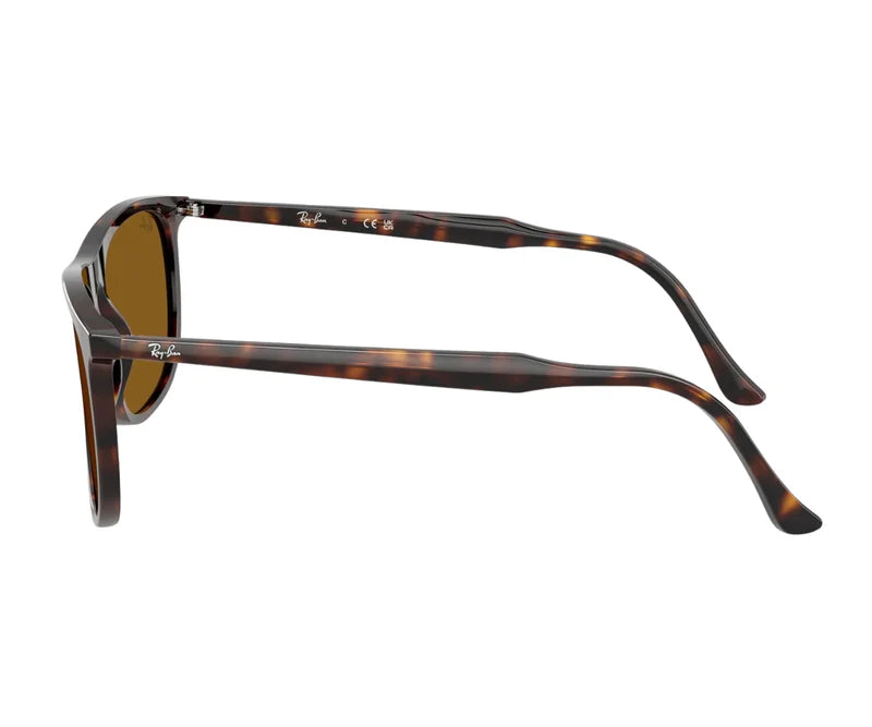 Rayban