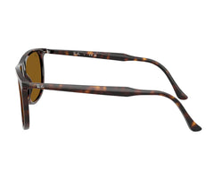 Rayban