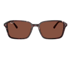 Rayban