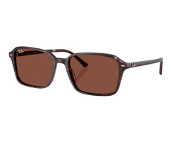 Rayban