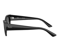 Rayban