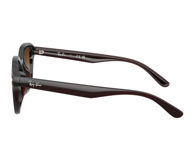 Rayban