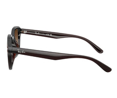 Rayban