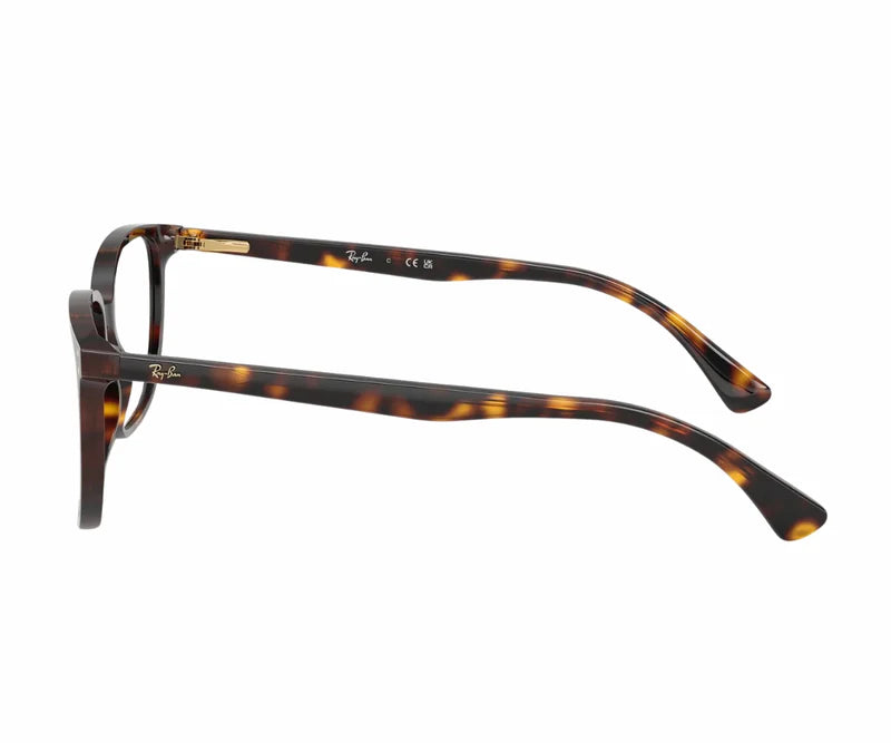 Rayban