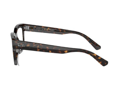 Rayban