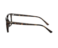 Rayban