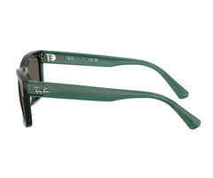 Rayban (Kids Size)