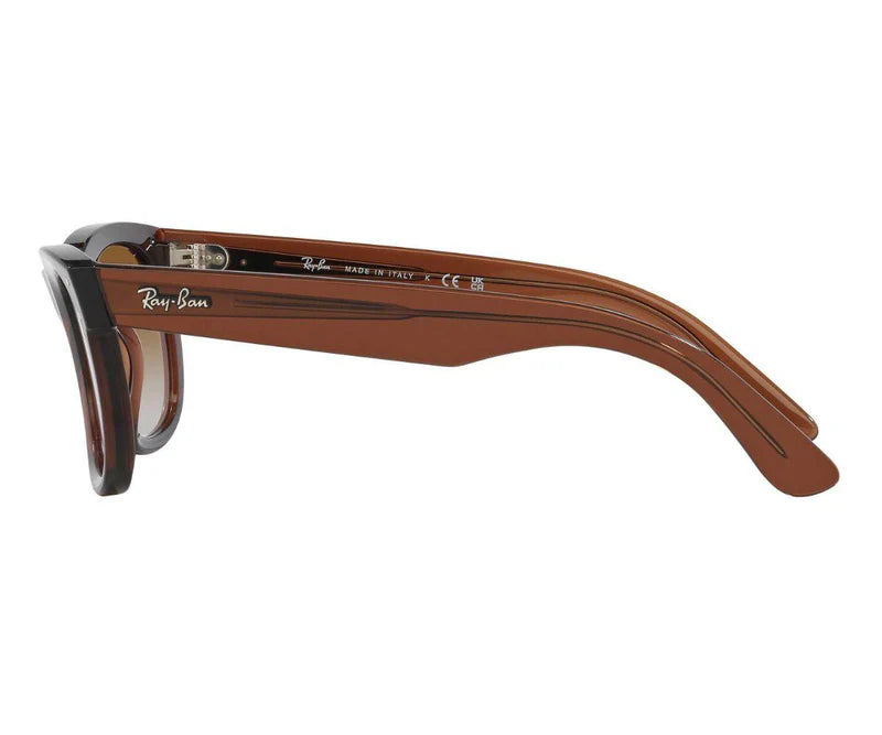 Rayban
